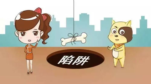 科技中介服務 告別傳統中介費，服務與保障從何而來？