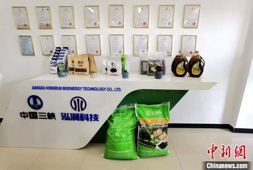 科技賦能長江生態(tài)修復(fù) 岸上綠意盎然，水中碧波重現(xiàn)